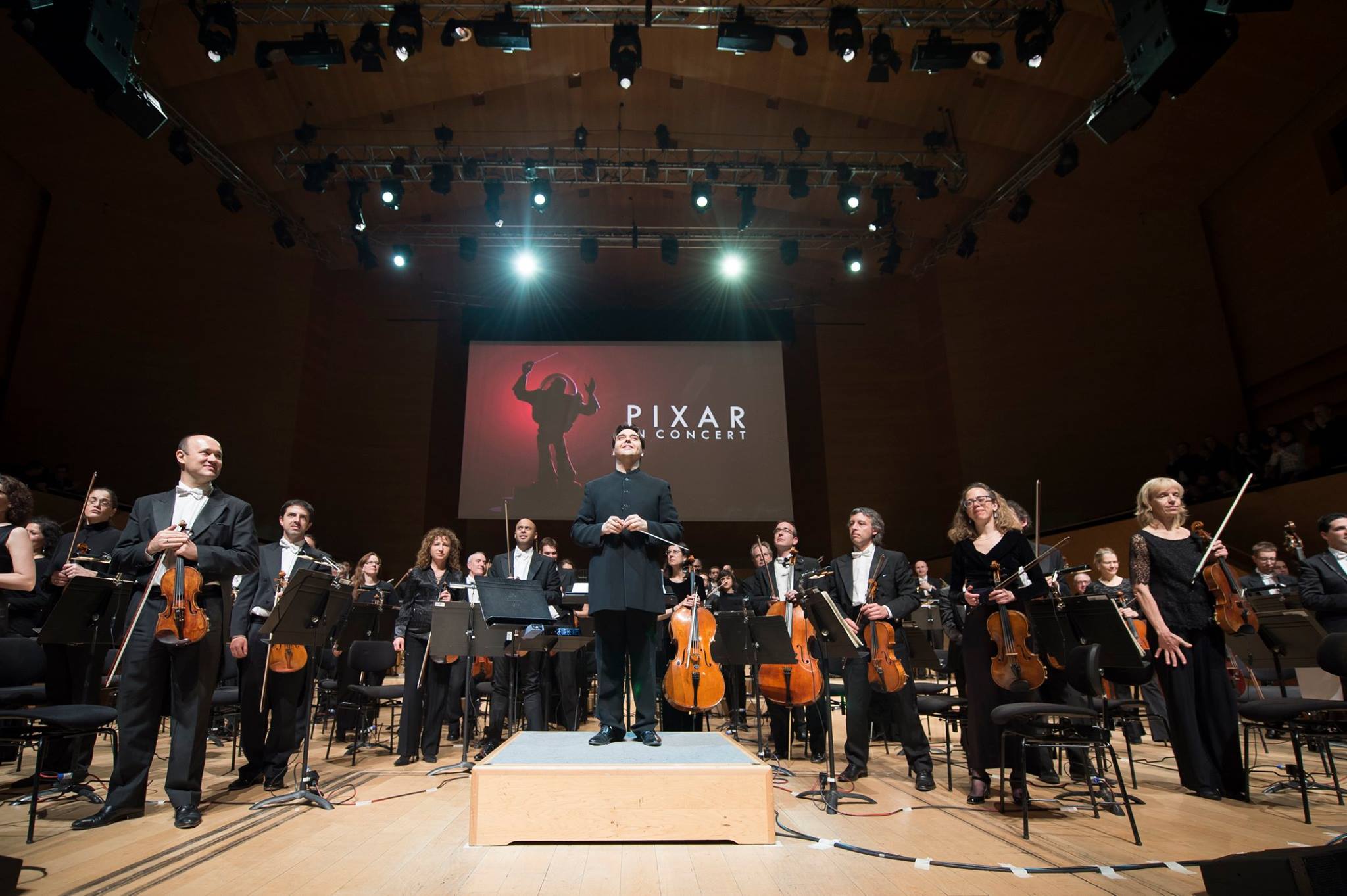 fotografia: Zircus Foto