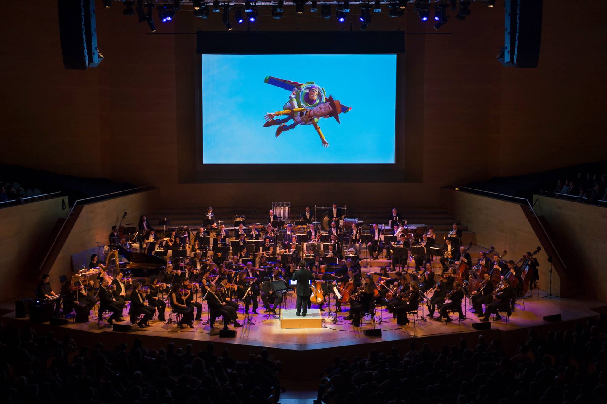 fotografia: Zircus Foto