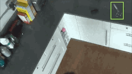 right with object detection