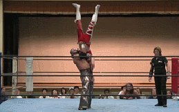 shida5.1-5