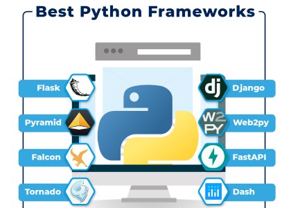 python web based application