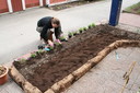Plantering av blommor