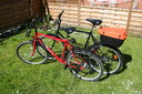 Cylar