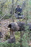 Bäverspaning