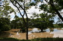 Monsun 1