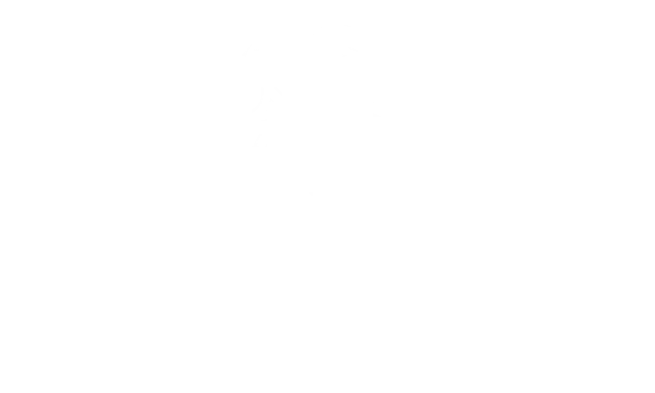 Planet Shapers logo in white