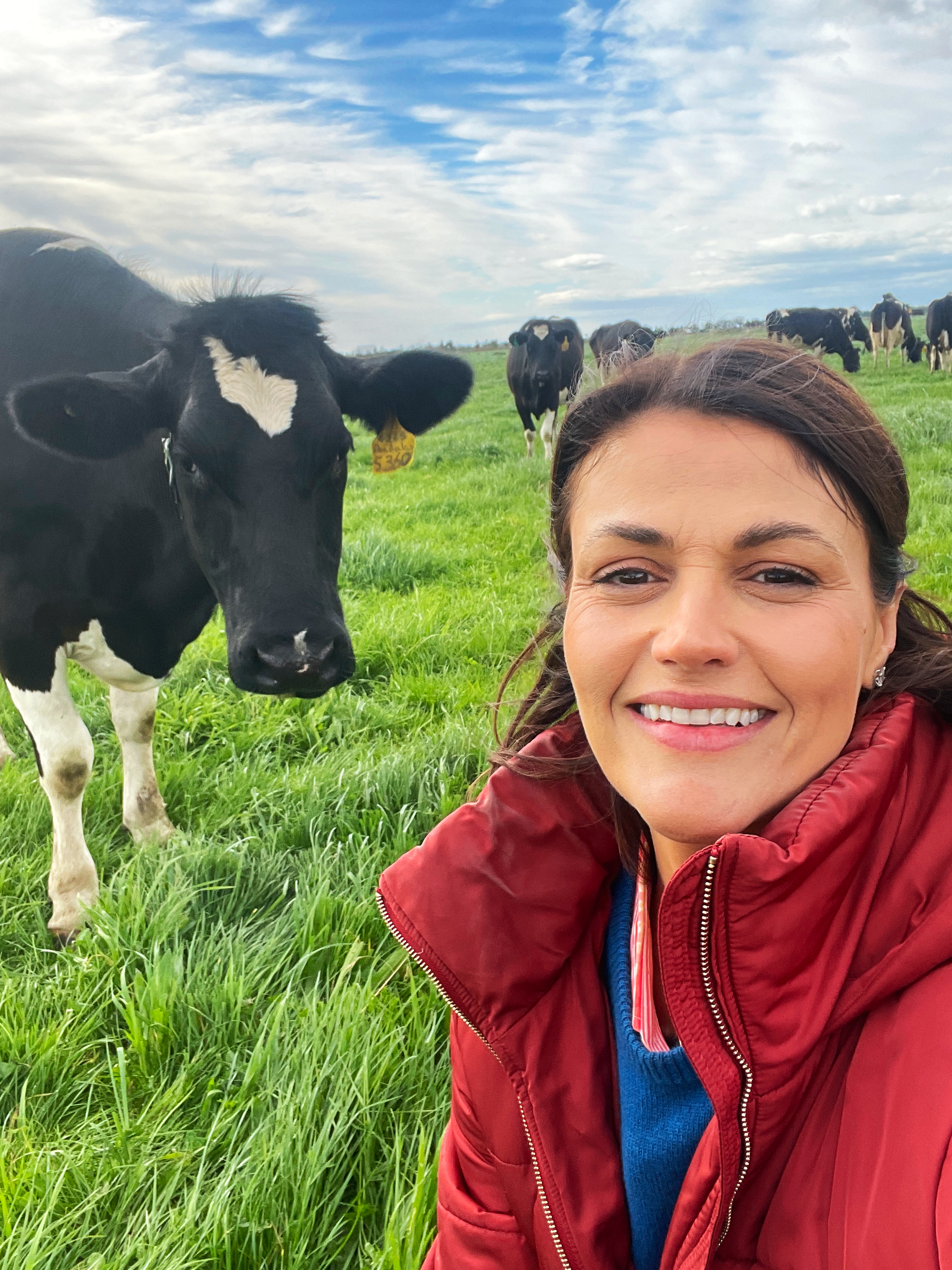 jo taranto fifth gen farmer with cows