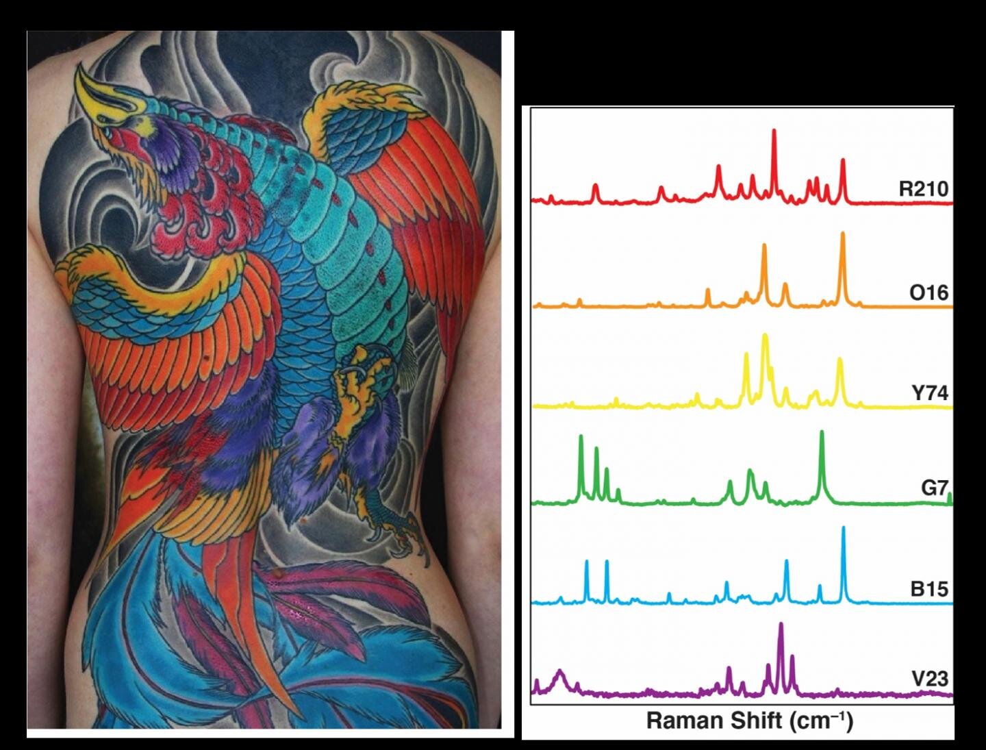 Can Tattoo Ink Detect Cancer? - Medizzy Journal 1095_x_1440_jpg