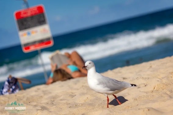 📍10 Best Coastal Weekend Getaways From Brisbane For Fun & Adventure From An Local Thrillseeking Outdoor Enthusiast. (2025.)