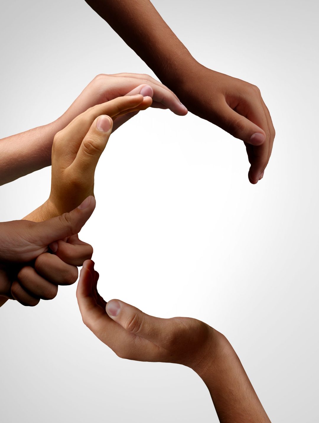 Diversity And Unity