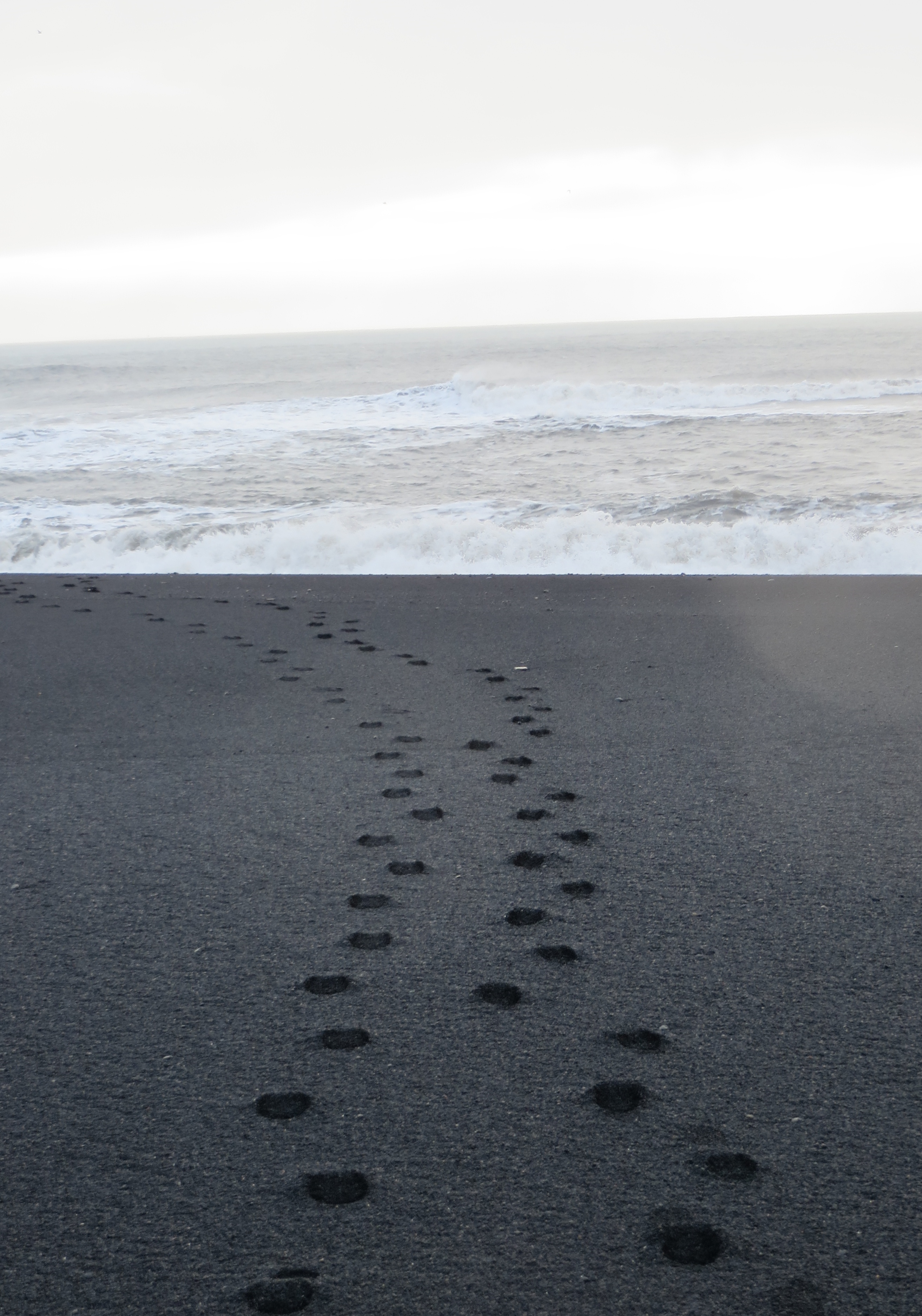 Leaving only footprints (Vík)