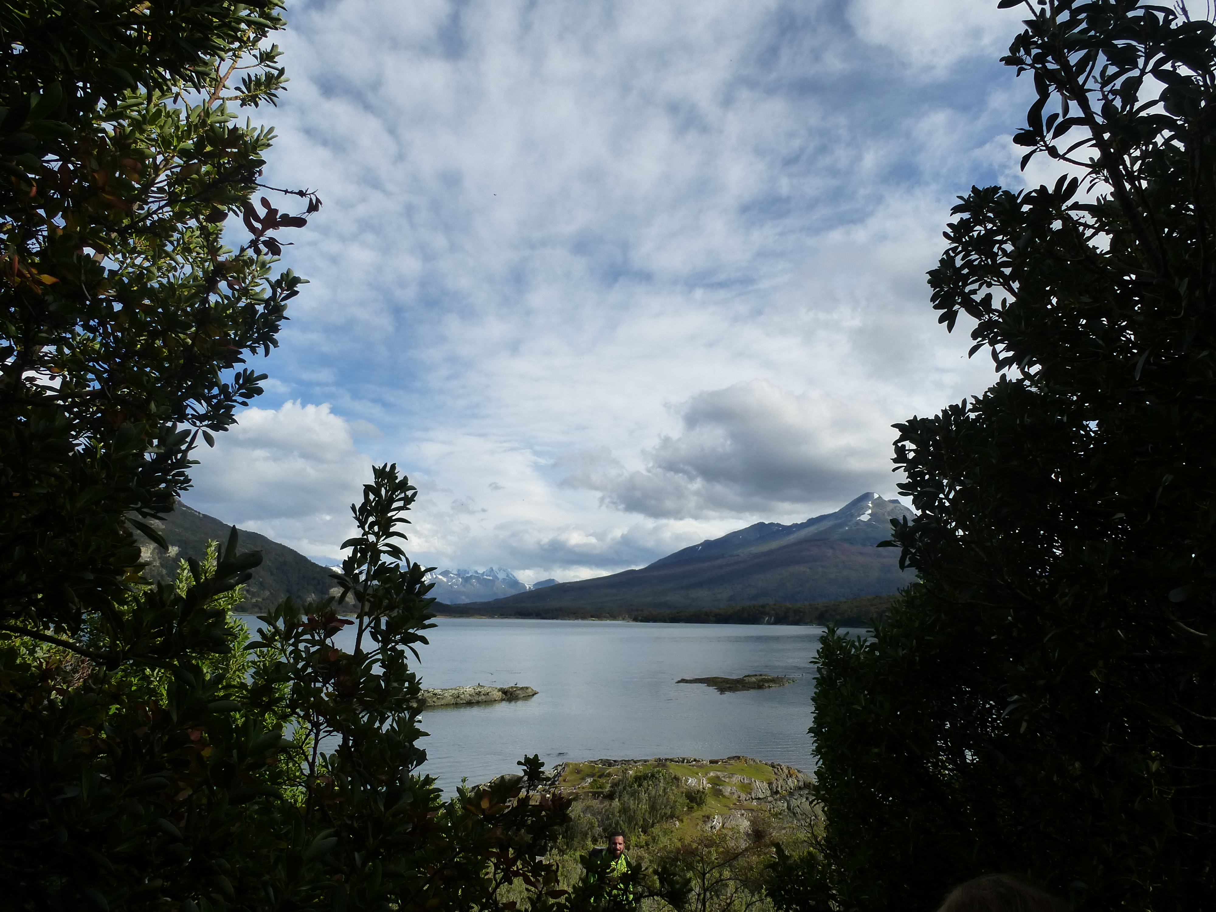 Emerging from the forest.