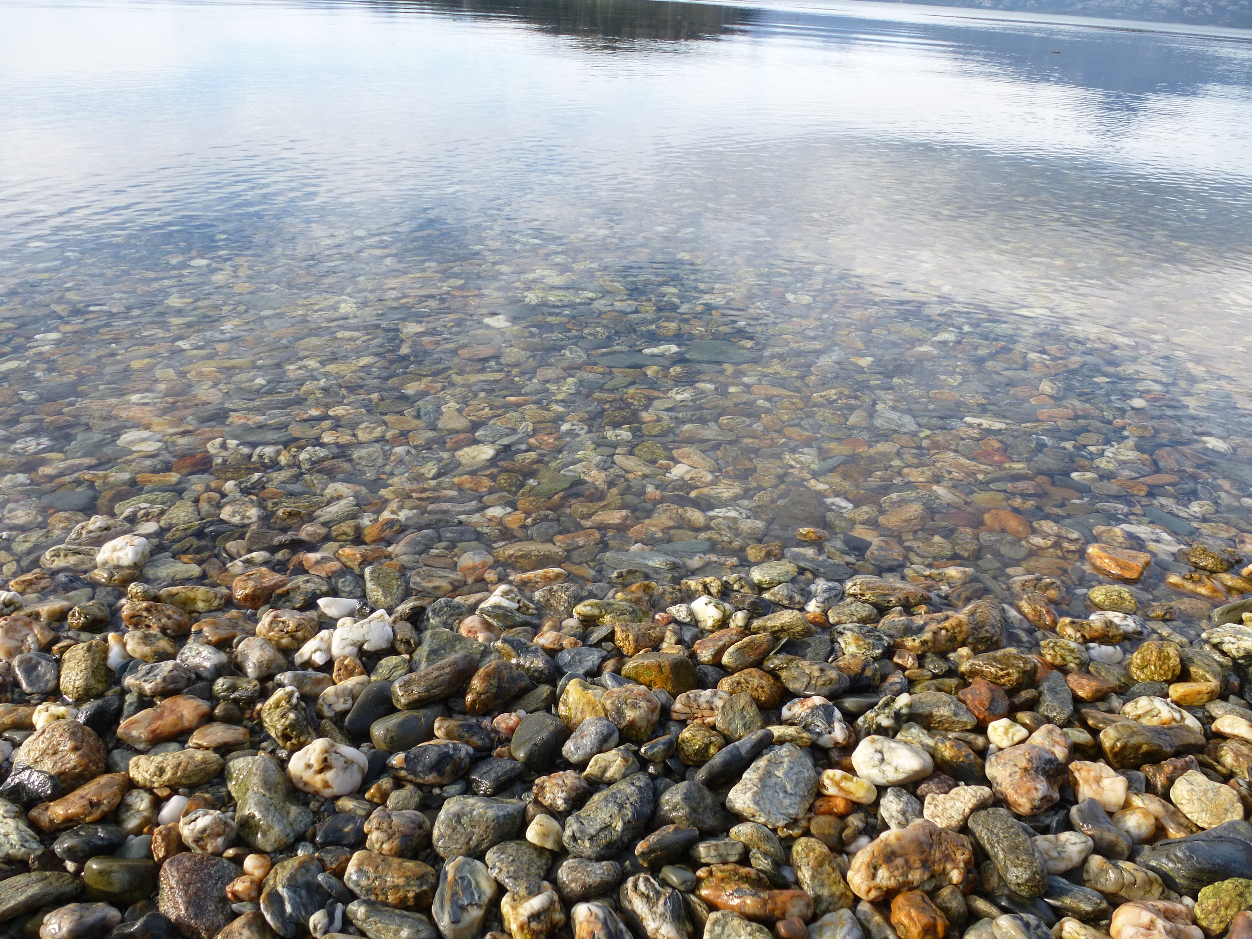 Tierra del Fuego National Park, Argentina