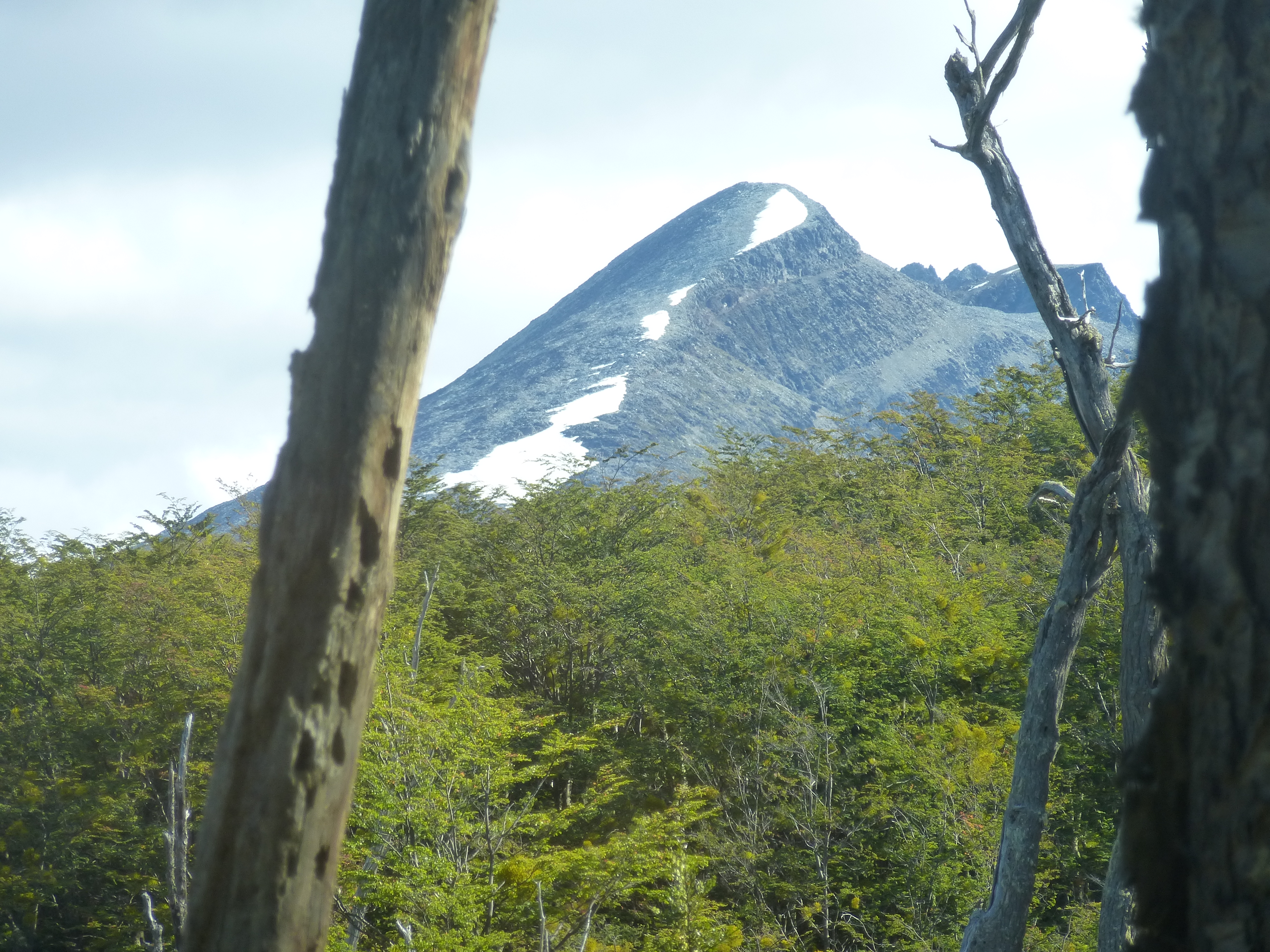 Tierra del Fuego National Park, Argentina