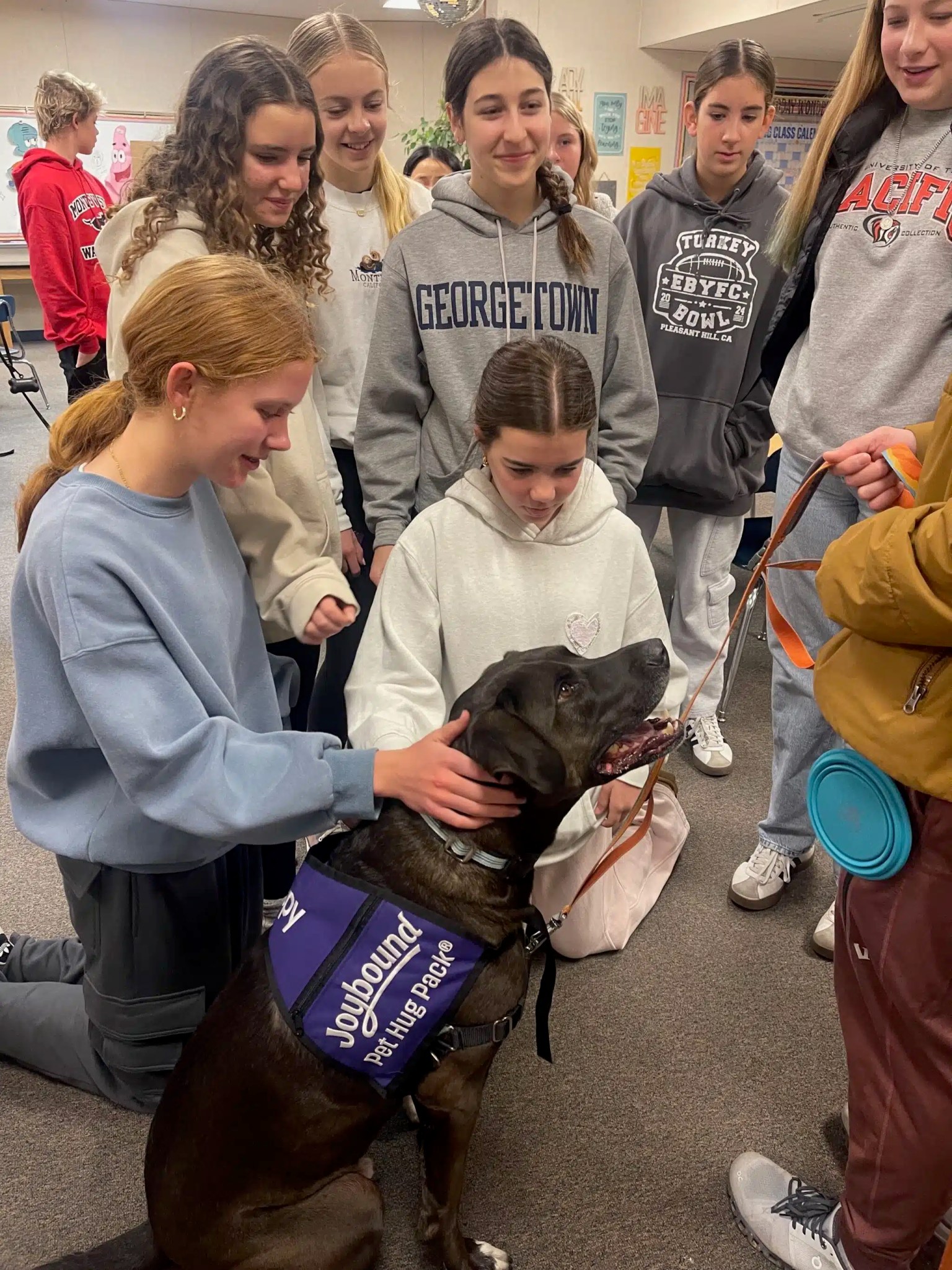 From Puppy Kisses to Therapy All Star