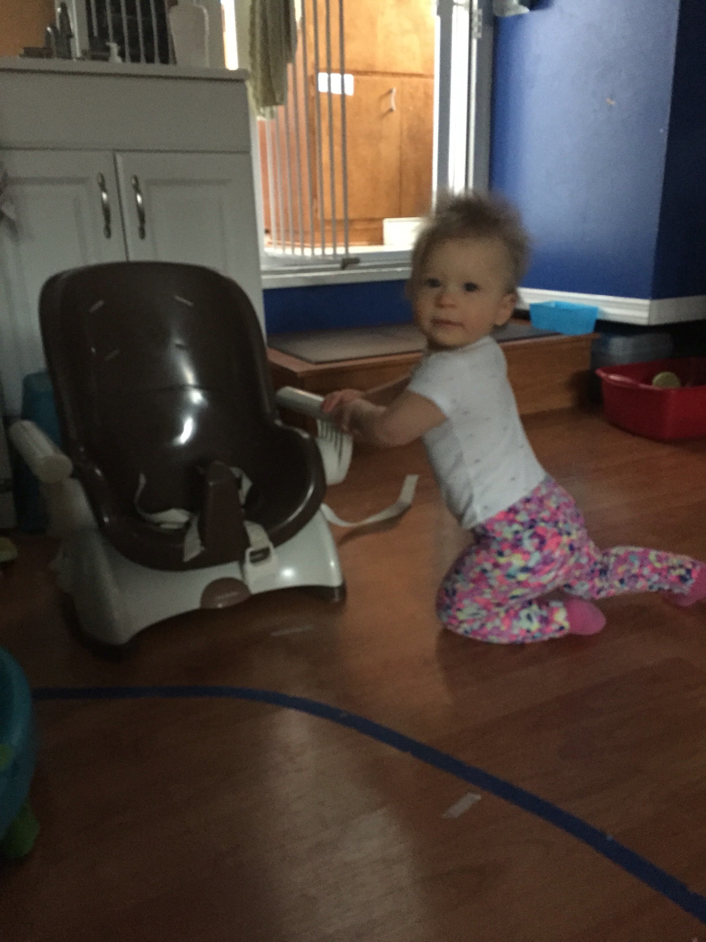 Our baby KS is getting braver!