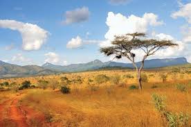 Sibiloi National Park with volcanic Hills in the Distance