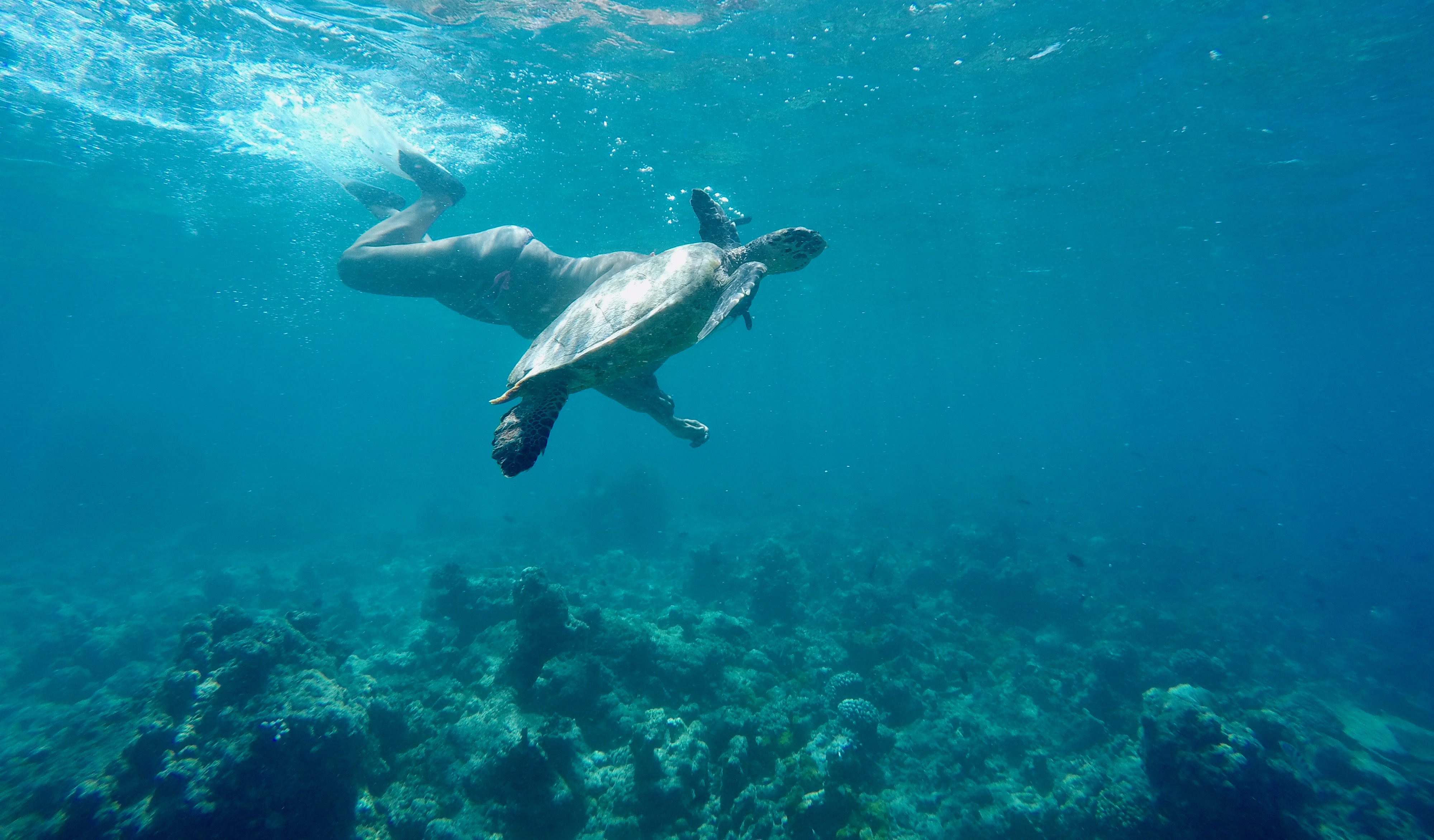 DCIM100GOPROGOPR0470.