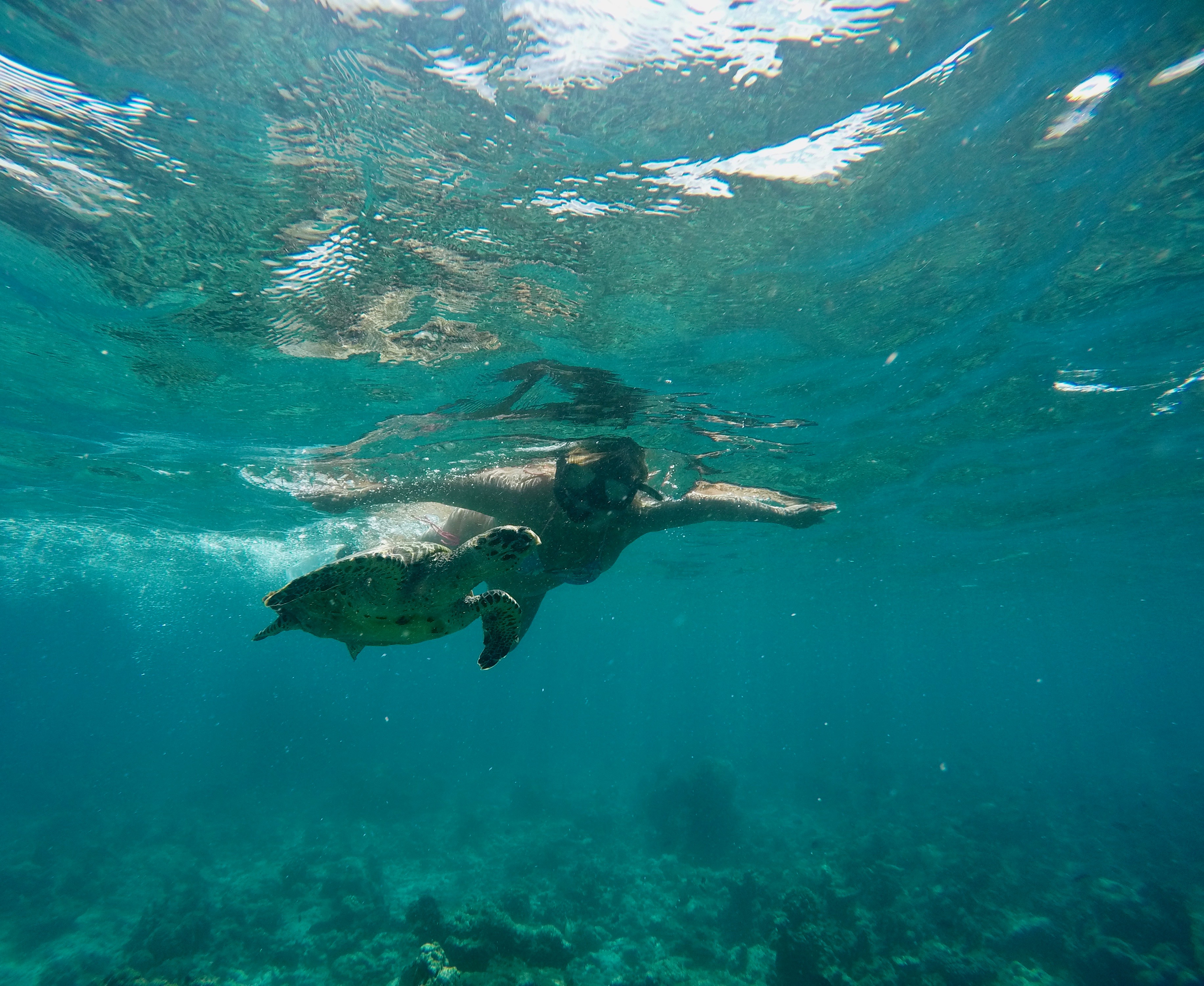 DCIM100GOPROGOPR0472.