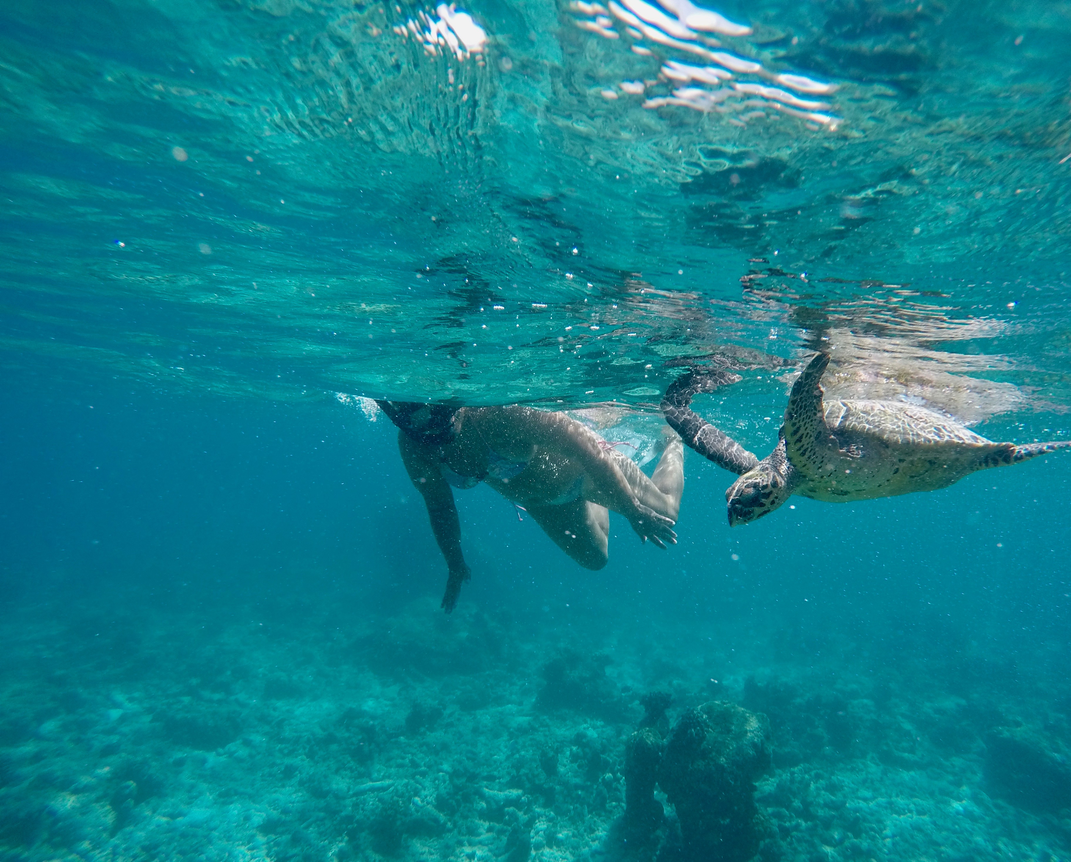 DCIM100GOPROGOPR0485.