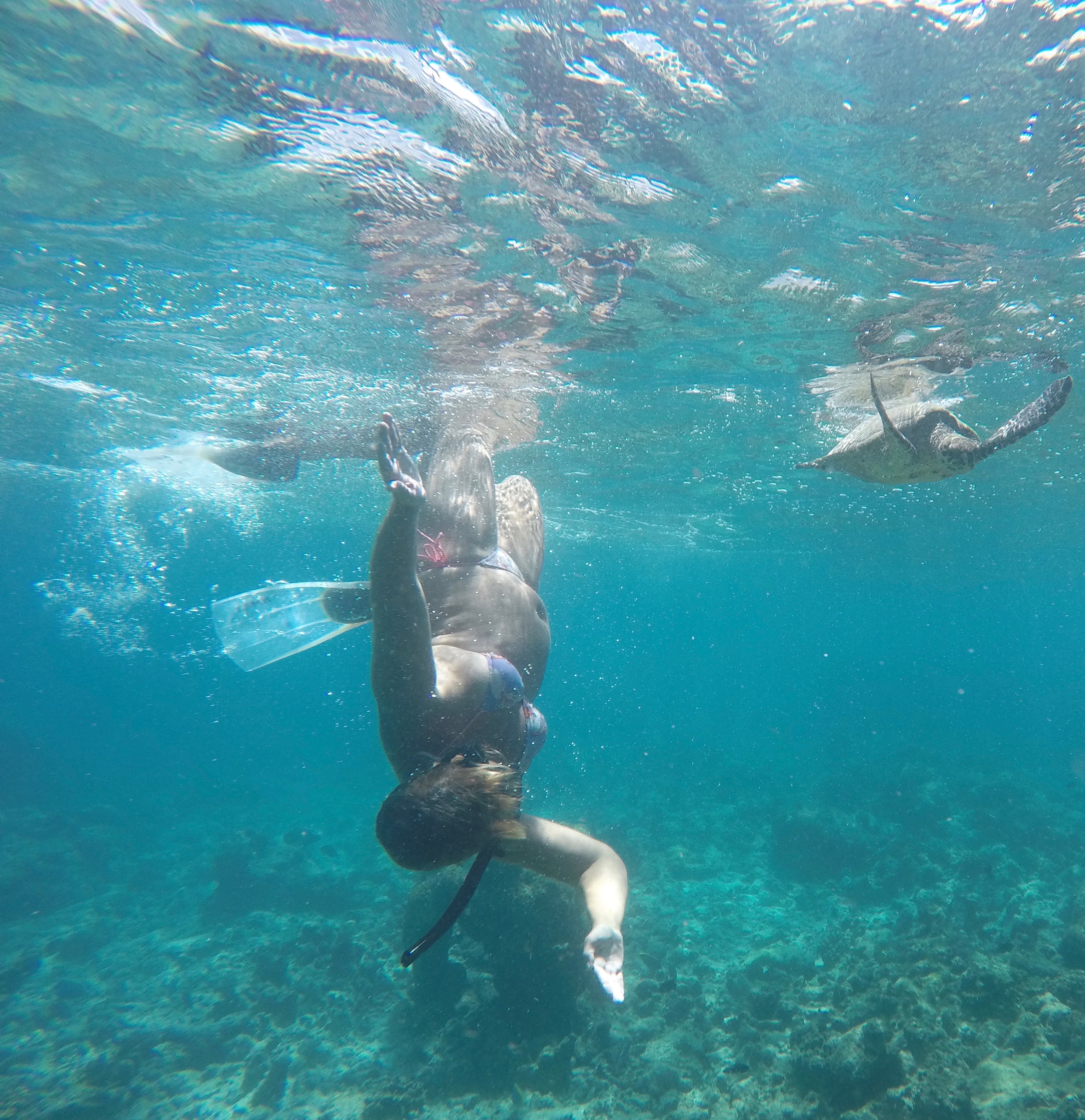 DCIM100GOPROGOPR0487.