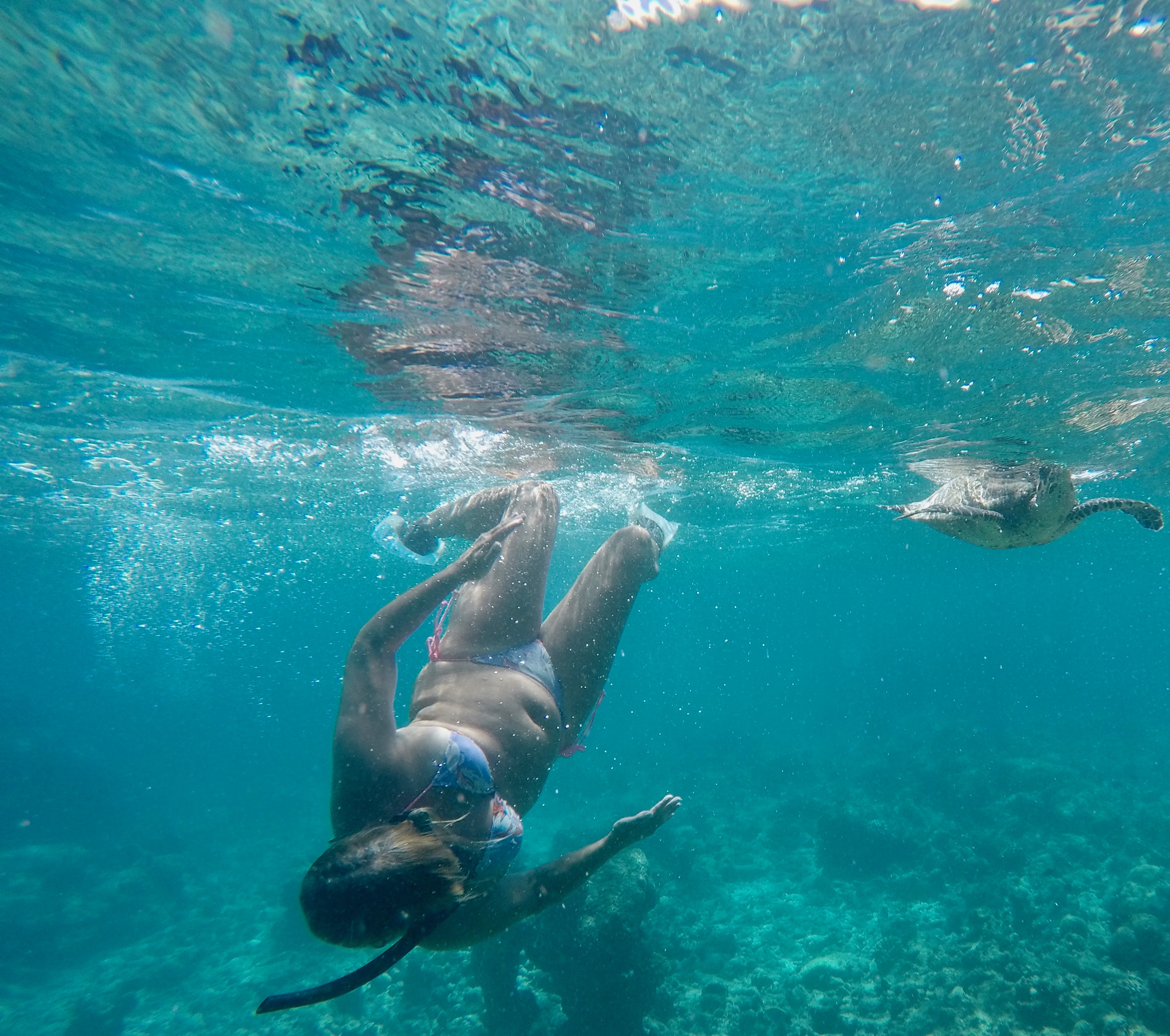DCIM100GOPROGOPR0488.