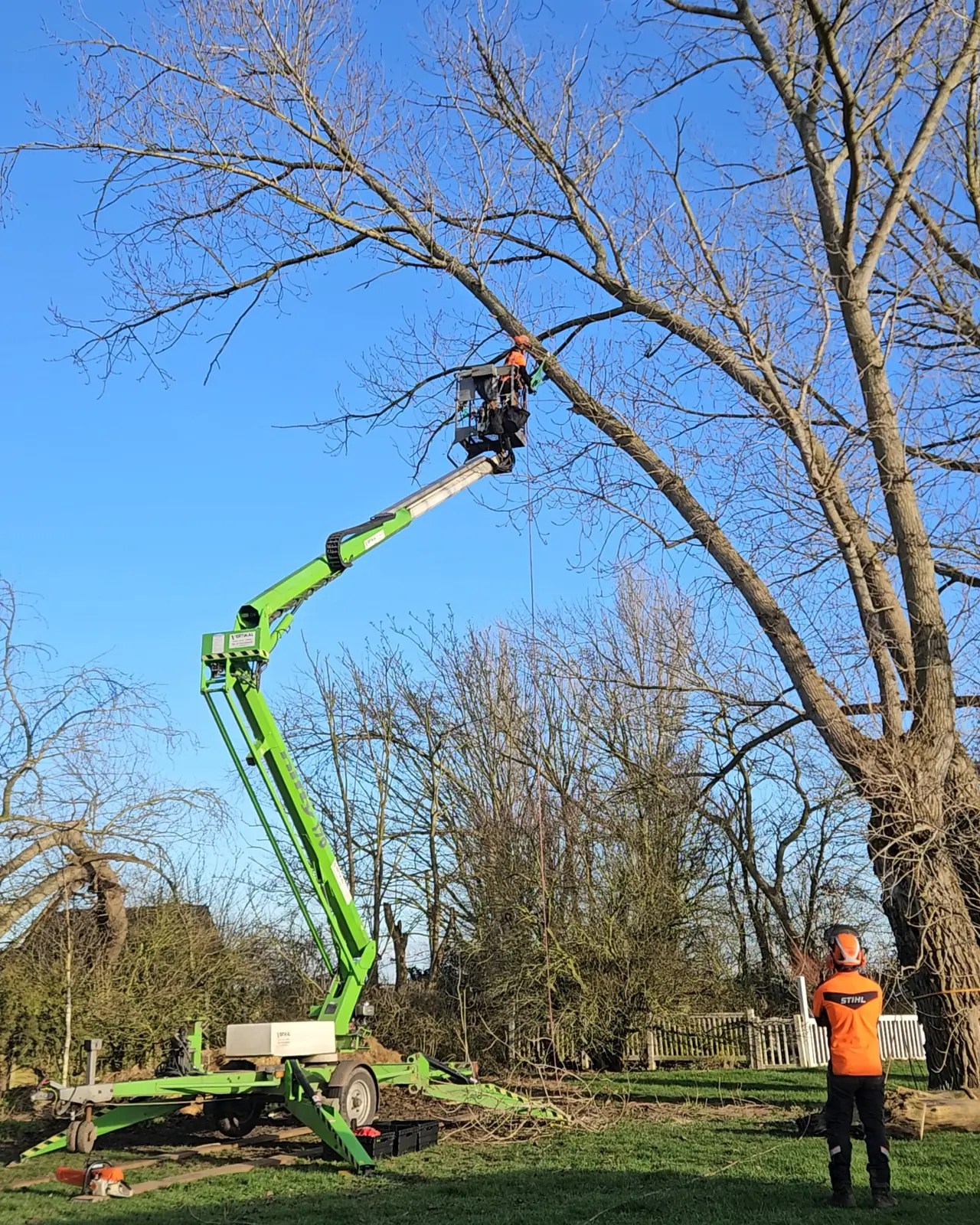A large tree being dismantled from a tracked platform, with a groundsman below