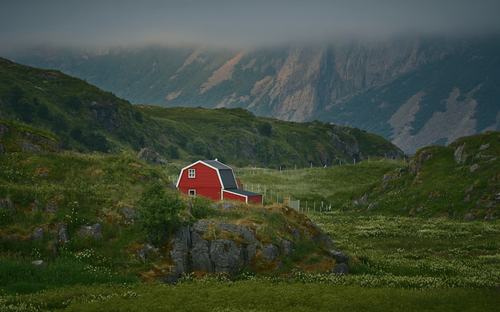Farm Stays for Creative Souls