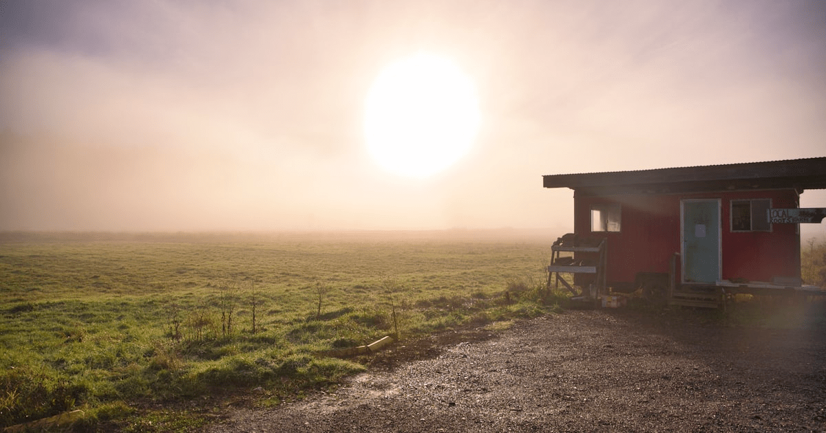 Embrace Sustainable Living