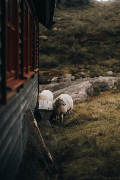 Creative Retreats in Nature