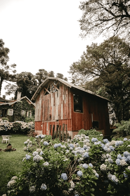 Discover Joy: A Unique Inn Experience