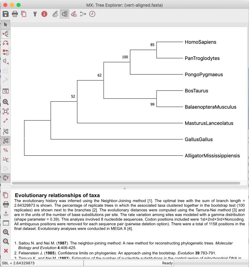 Using Megax Uchile Modulo Comparative Genomics - City Background Collection - High Resolution Quality