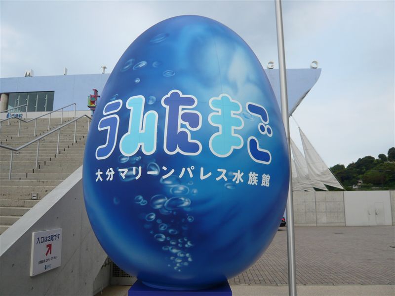 セイウチに会える！大分県にある水族館「うみたまご」の魅力