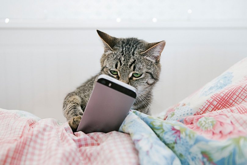 Hypnosis client reading about how to stop compulsive listening habits