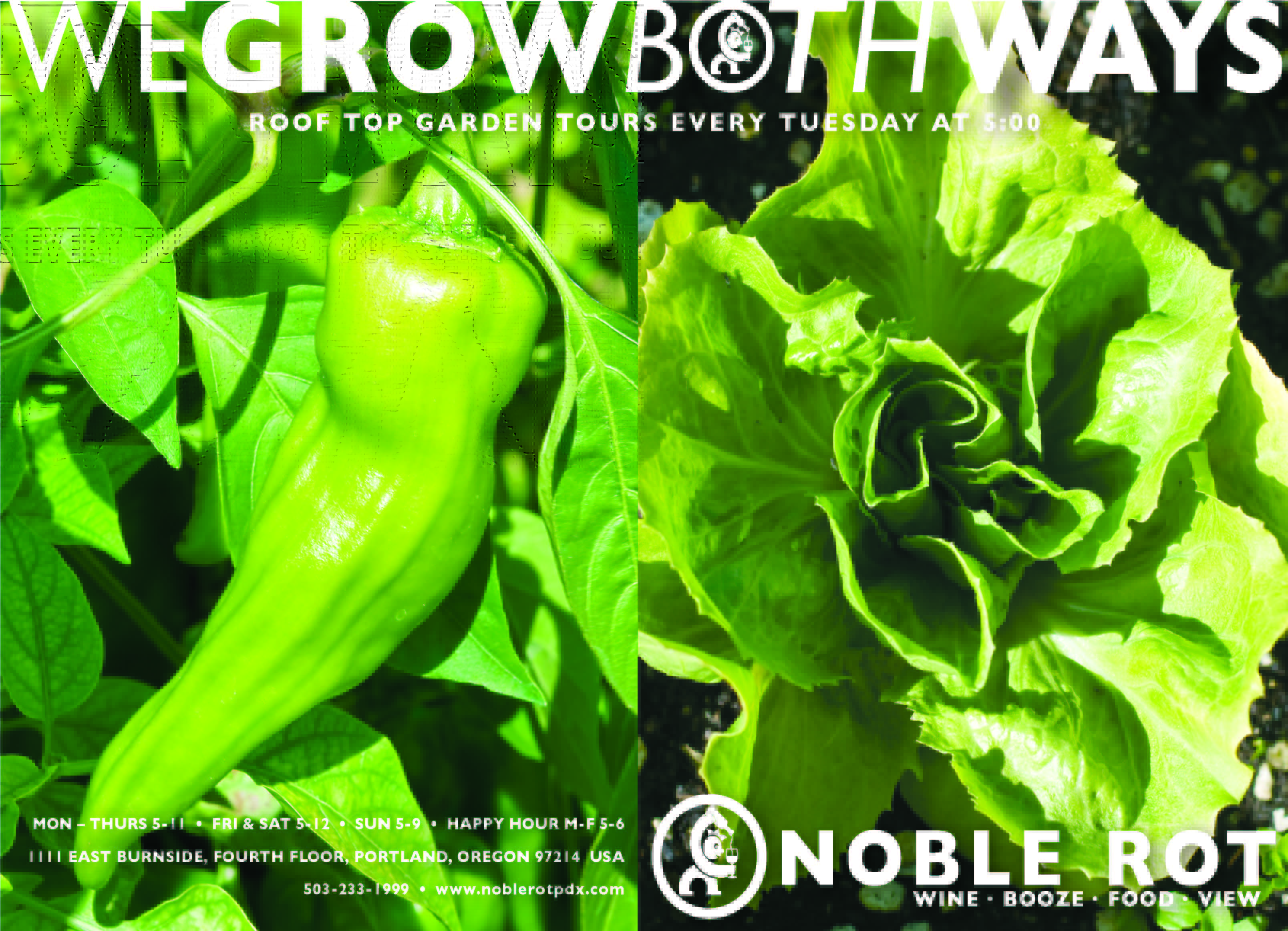 NobRot_4x6_postcard_back_Page_2