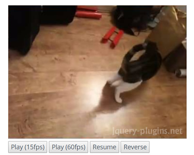 Github Gka Canvid Tiny Js Library For Playing Video On Canvas - Premium Light Background Gallery - HD