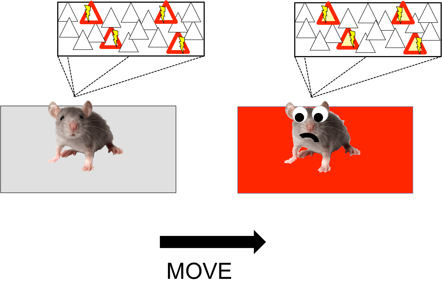 fearmemory – Neurociencia, el blog de José R. Alonso