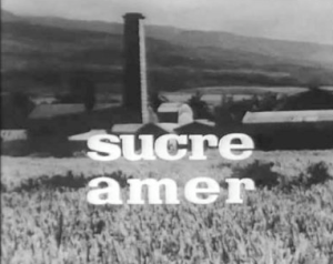 Sucre amer : filmer la fraude électorale en Outre-mer