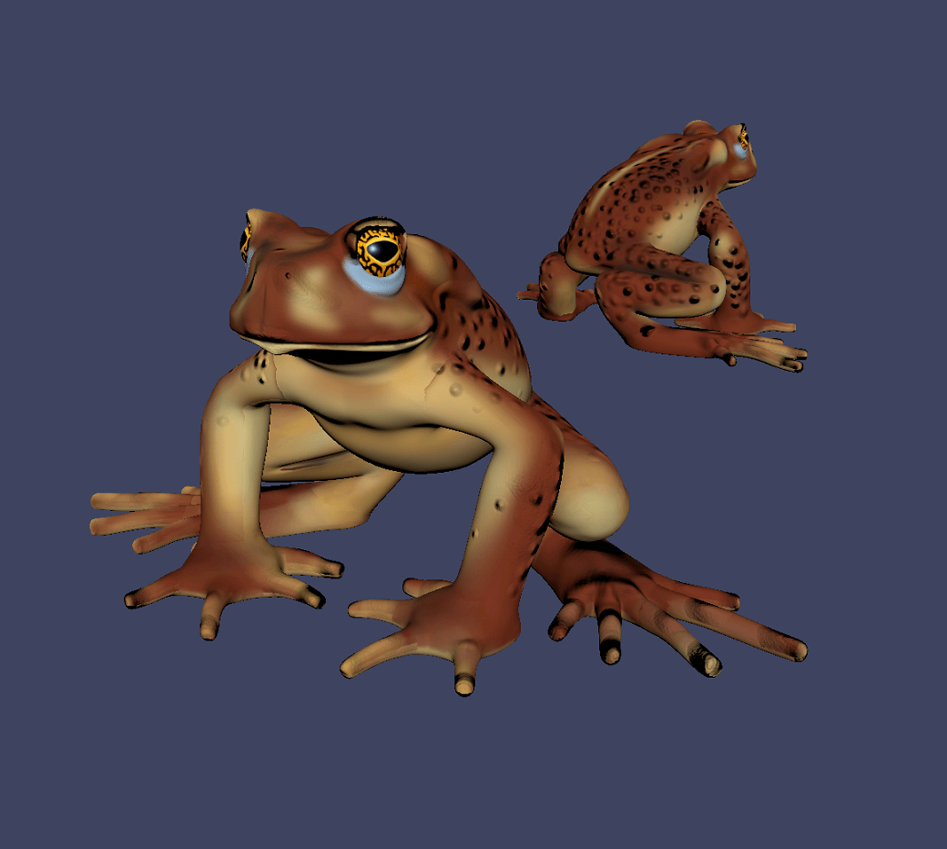 Cane Toad 3D Model Render