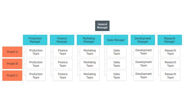 Javascript Matrix Organizational Chart Jscharting - Amazing Nature Art - Desktop