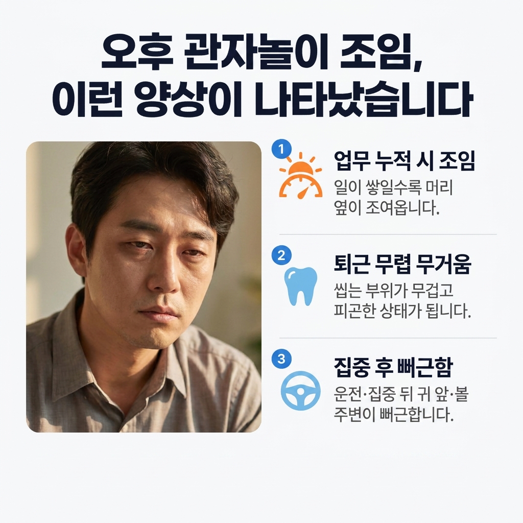 측두근과 교근이 관자놀이 압박감에 관여하는 위치 설명