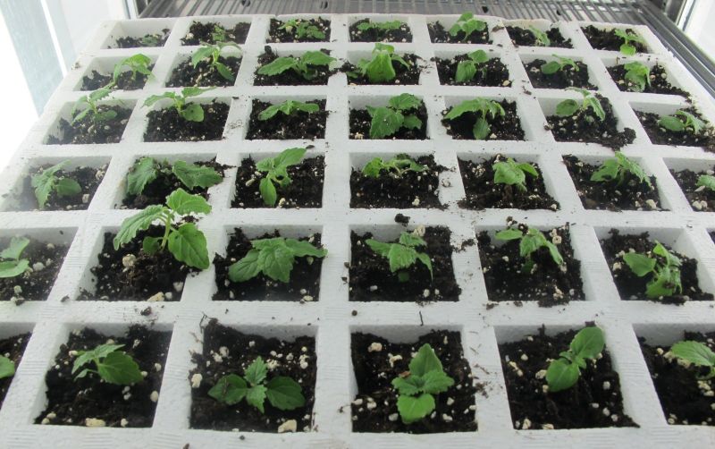 Jsof - Best Colorful Textures in Ultra HD