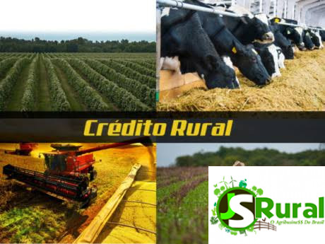 WhatsApp Image 2021-07-02 at 11.01.25