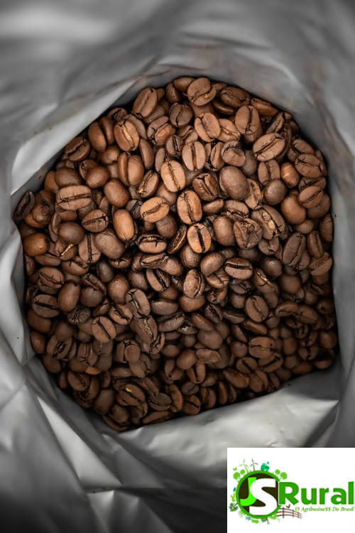 graos de cafee
