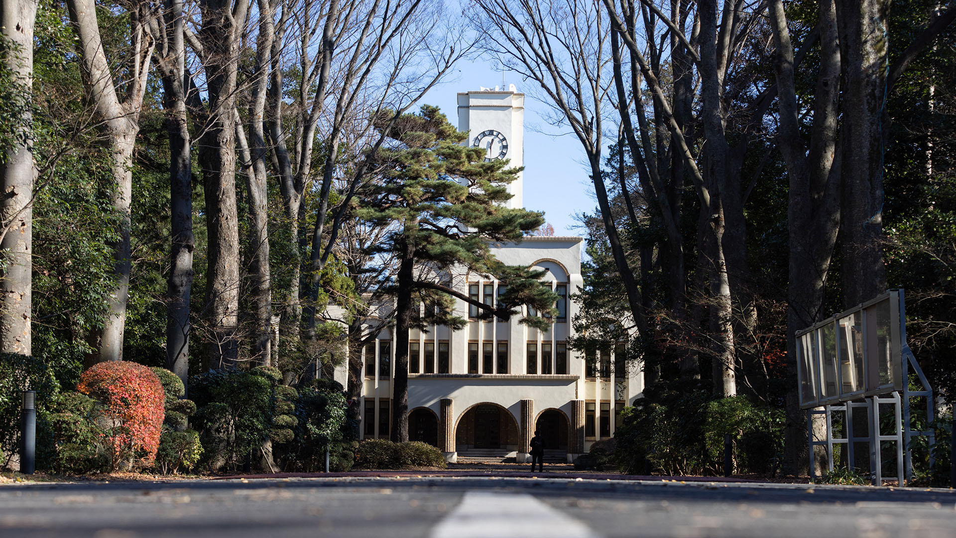 第74回日本獣医画像診断学会（終了） | JSVDI