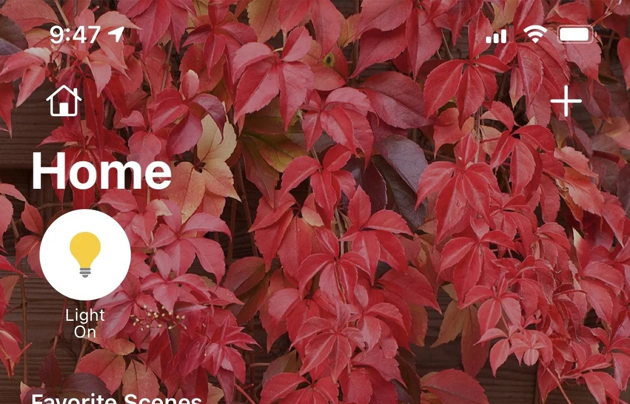 The Quick Action section of the Home app on iOS dev beta 1. The Home section of the WWDC 2020 review 