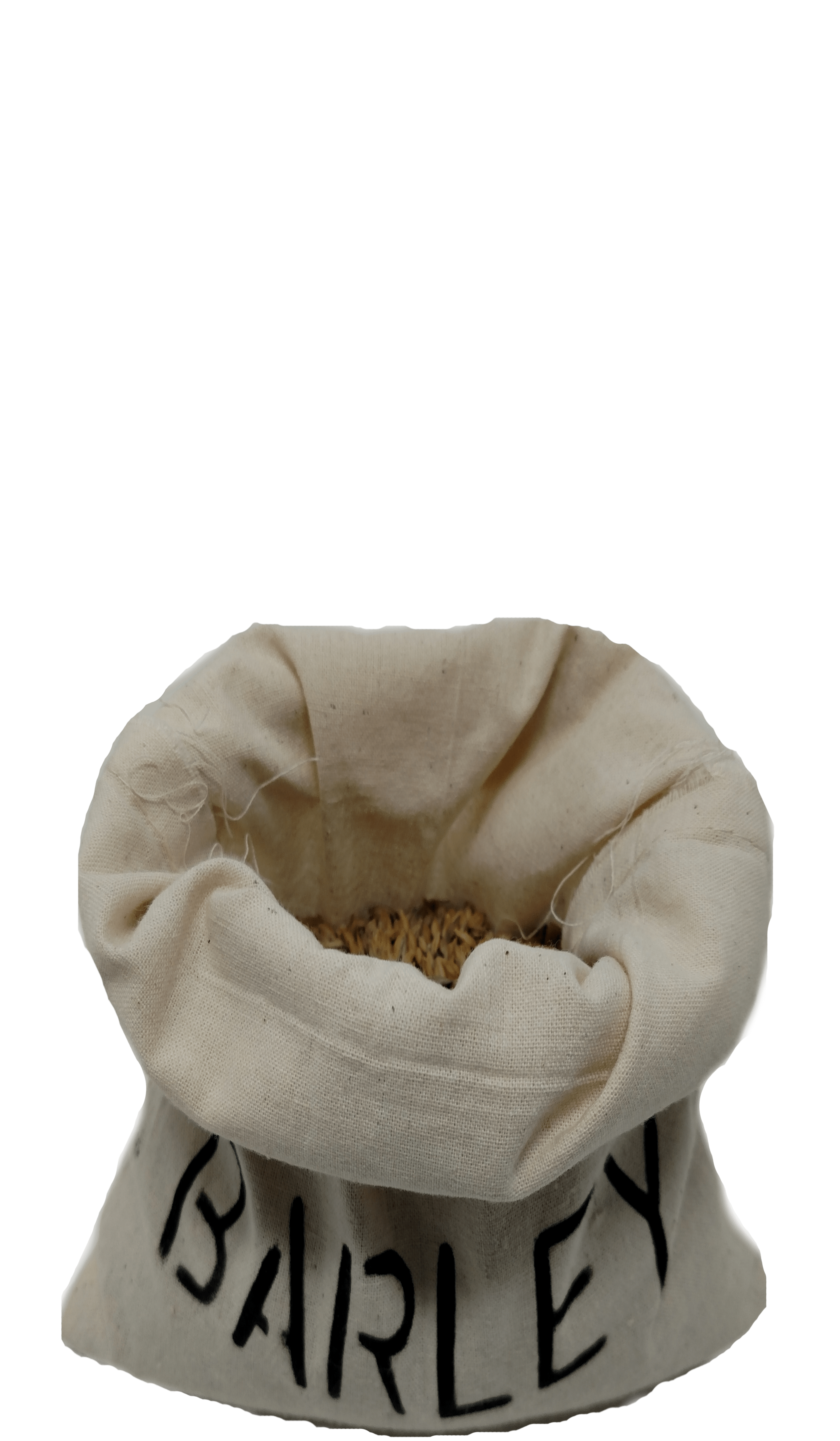 5%  MALTED BARLEY