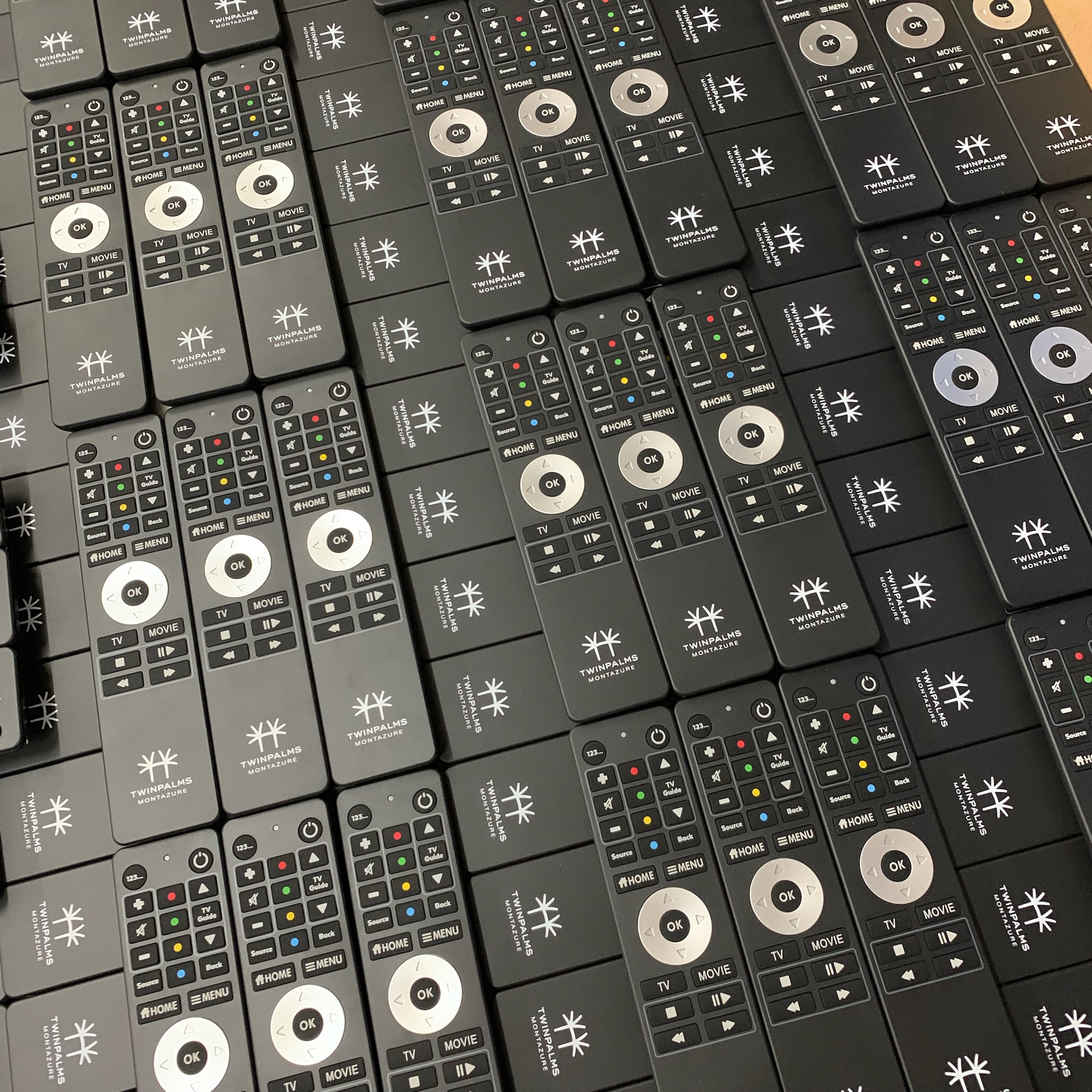 Screen_Remote_Twinpalms