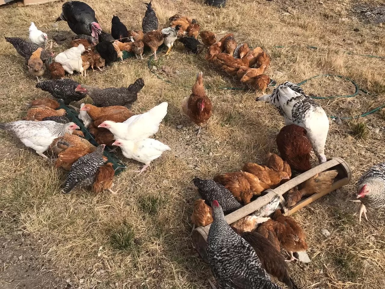 WhatsApp Image 2020-08-04 at 1.20.58 PM (2)