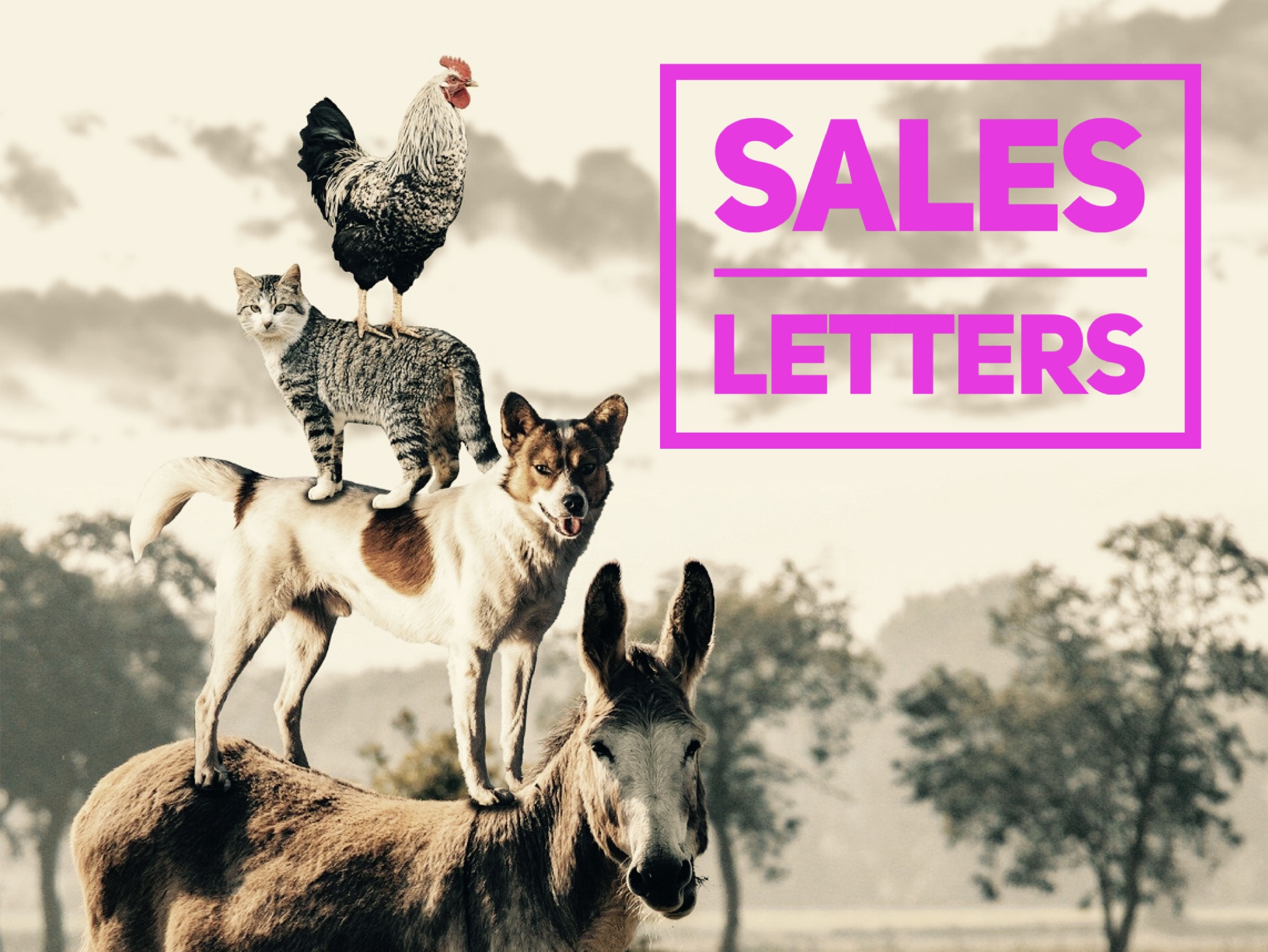 Sales Letters